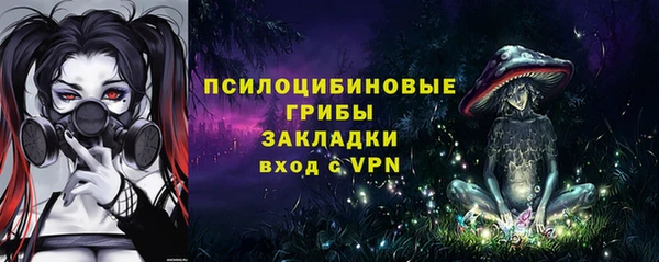 гидра Алексин