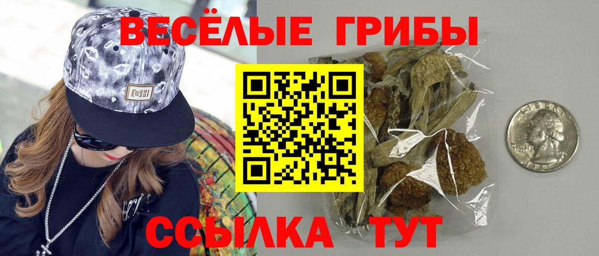 Галлюциногенные грибы мухоморы Минусинск