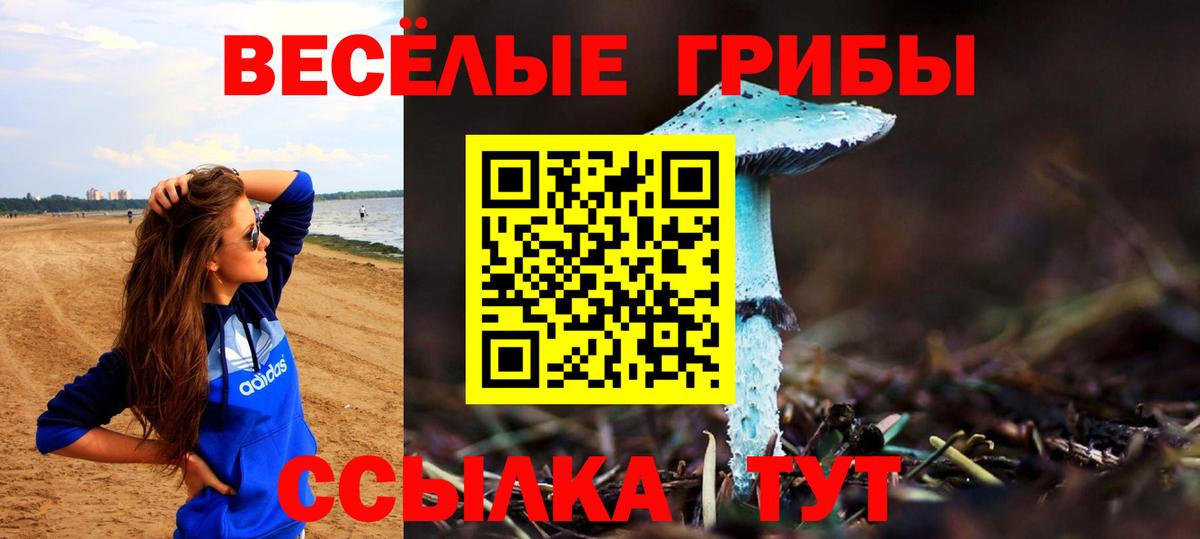 Галлюциногенные грибы GOLDEN TEACHER  Вход с VPN  Минусинск 
