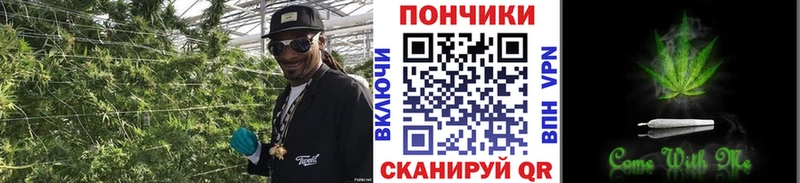 Бошки Шишки LSD WEED  где купить наркотик  Минусинск 